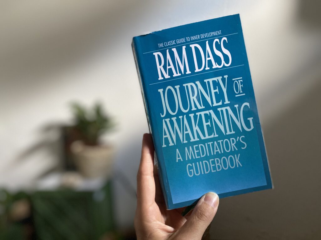 Ram Dass Journey of Awakening